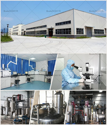 Chardon-Marie en gros (Silybum marianum, poudre de silymarine à 80 %, extrait de chardon-Marie)