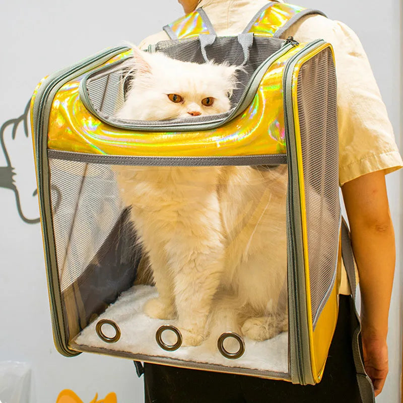 Pet Cat Carrier Backpack Breathable Travel Outdoor Shoulder Bag For Small Dogs Portable Transparent Carrying Pet Supplies Laser