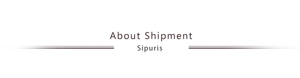 Sipuris Custom Name Necklace Women Jewelry Stainless Steel Golden Choker Cuban Chain Heart Ribbon Nameplate Pendant Necklace