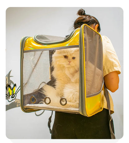 Pet Cat Carrier Backpack Breathable Travel Outdoor Shoulder Bag For Small Dogs Portable Transparent Carrying Pet Supplies Laser