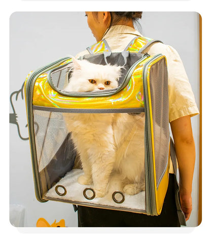 Pet Cat Carrier Backpack Breathable Travel Outdoor Shoulder Bag For Small Dogs Portable Transparent Carrying Pet Supplies Laser