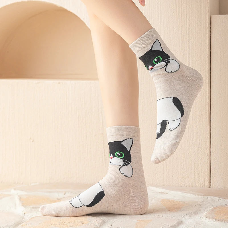 1/5 Pairs New Arrivals Women Socks Cartoon Animal Cat Spring Autumn Kawaii Comfortable School Girls Female Casual Funny Socks