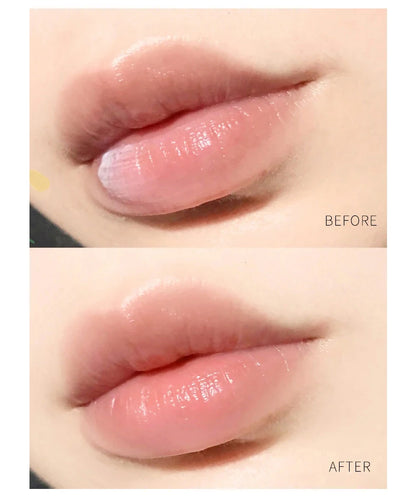 4/6/8pcs Moisturizing Lip Balm Sets Lipstick Makeup Natural Plant Base Moisturizer Lip Balm Anti-Cracking Lips