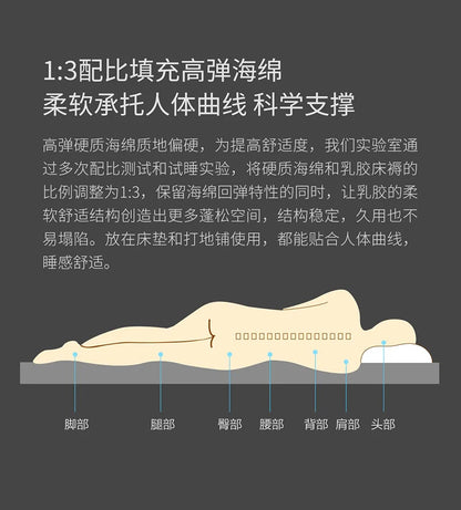 Latex mattress home hotel cushion thickened dormitory single double student tatami mattress, fashion sponge mats