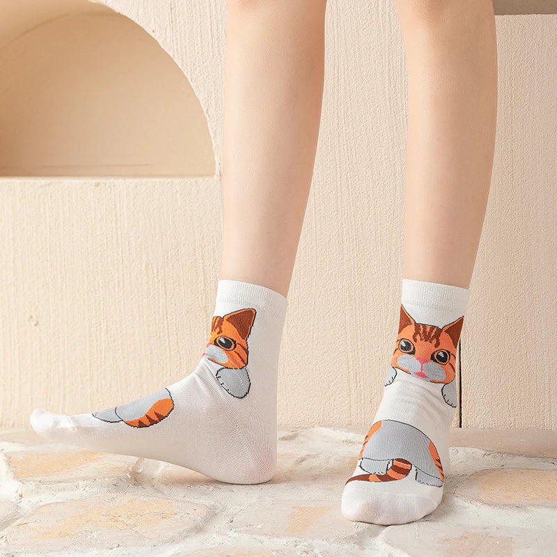 1/5 Pairs New Arrivals Women Socks Cartoon Animal Cat Spring Autumn Kawaii Comfortable School Girls Female Casual Funny Socks