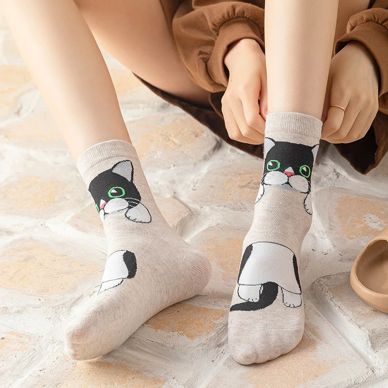 1/5 Pairs New Arrivals Women Socks Cartoon Animal Cat Spring Autumn Kawaii Comfortable School Girls Female Casual Funny Socks