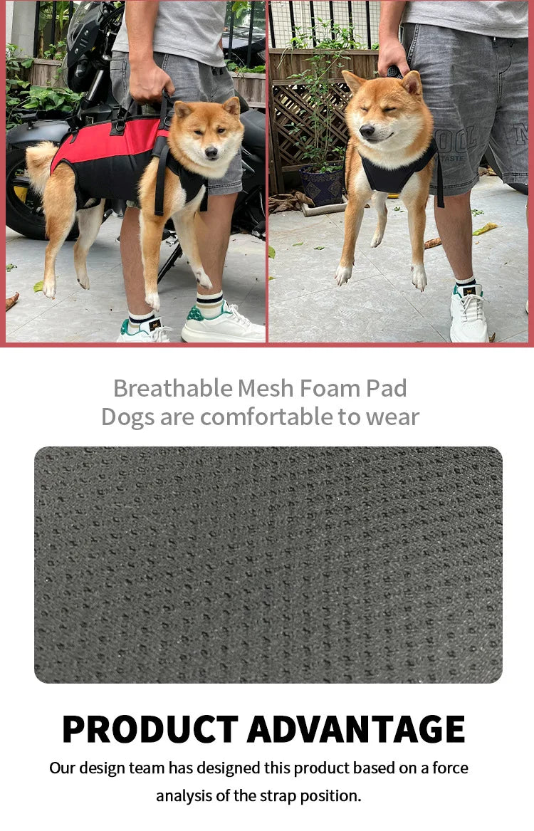 Pet Travel Backpack(3 sizes) Shoulder Carrier Outdoor Hiking Walking Durable Comfortable Oxford Fabric Dog/Cat Carrier