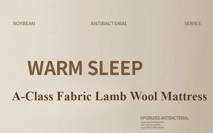 Thicken Winter Warm Lamb Cashmere Mattress High Quality Household Soft Pad Tatami Floor Mat Student Dormitory Single Mattresses