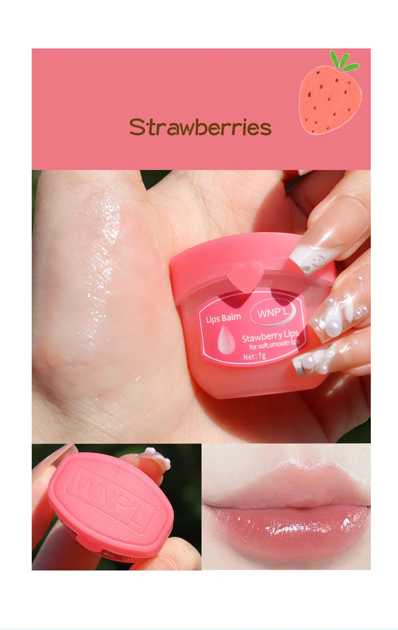 4/6/8pcs Moisturizing Lip Balm Sets Lipstick Makeup Natural Plant Base Moisturizer Lip Balm Anti-Cracking Lips