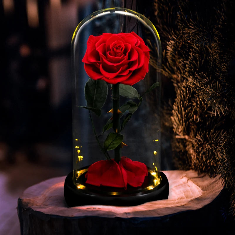 Forever Preserved Real Rose in GlaSS With LED Light Eternal Flower Gifts for Valentine's Day Mothers Day Anniversary Birthday