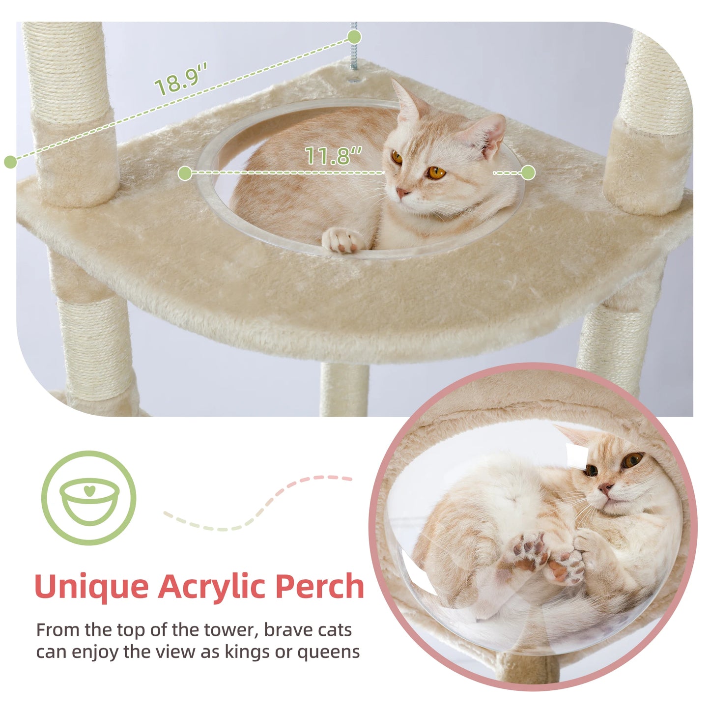 Floor to Ceiling Cat Tree Adjustable Cat Tower Tall Kitty Climbing Play House with Scratching Posts Cozy Condo Perches Hammock